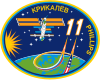 Insignia of Expedition 11