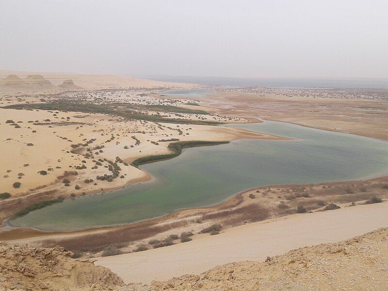 File:Fayoum.jpg