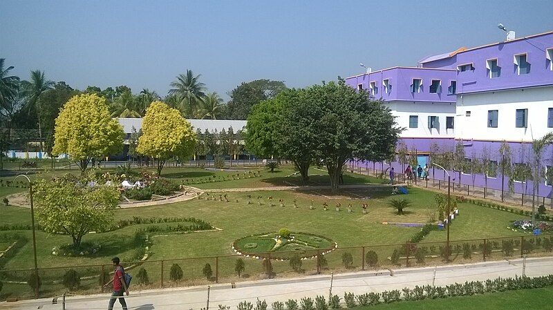 File:Gobardanga Hindu College.jpg