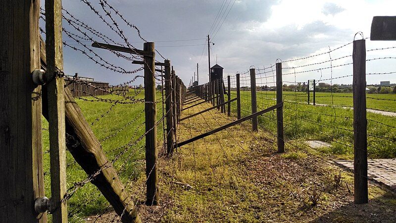 File:Majdanek Double-Fence.jpg