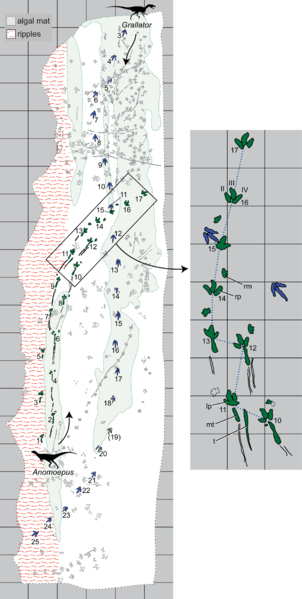 File:Moyeni tracksite features.png