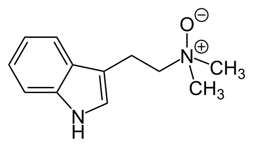 File:N,N-Dimethyltryptamine N-oxide.svg