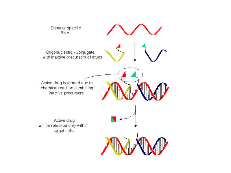 File:NATC scheme.png