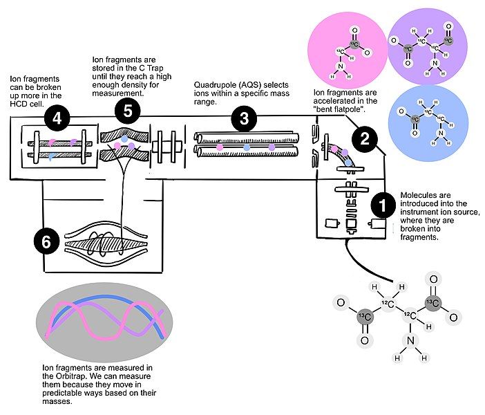 File:OrbitrapFigure.jpg