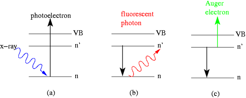 File:Photoabsorb.png