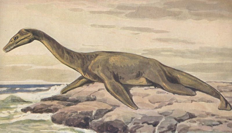 File:Plesiosaur on land.jpg