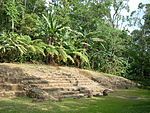 Takalik Abaj was continuously occupied for almost two thousand years.This photo shows the access stairway to Terrace 3, dating to the Late Preclassic.