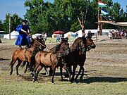 Hungarian post