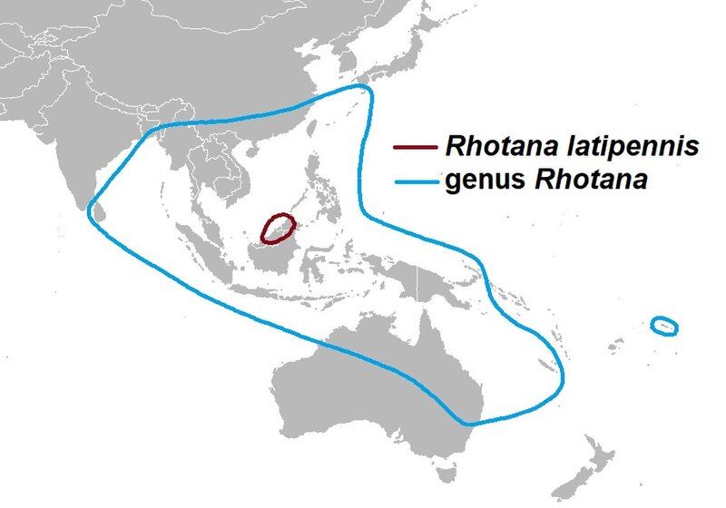 File:Rhotana distribution.jpg