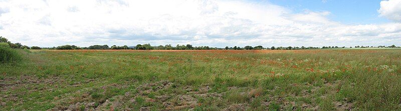 File:ShropshirePoppyFieldCB.jpg