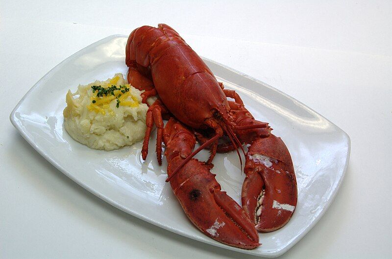 File:SteamedLobster.jpg