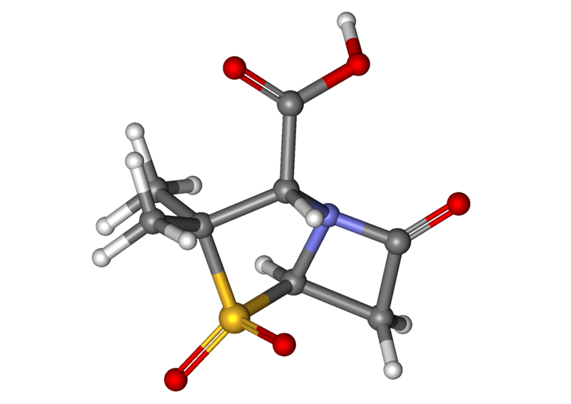 File:Sulbactam ball-and-stick.png