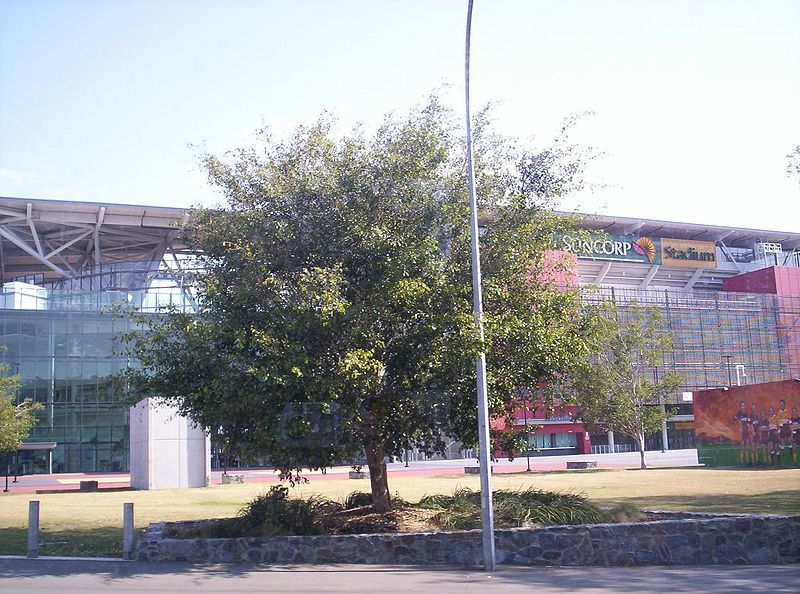 File:Suncorp-Stadium-entrance-and-tree.jpg