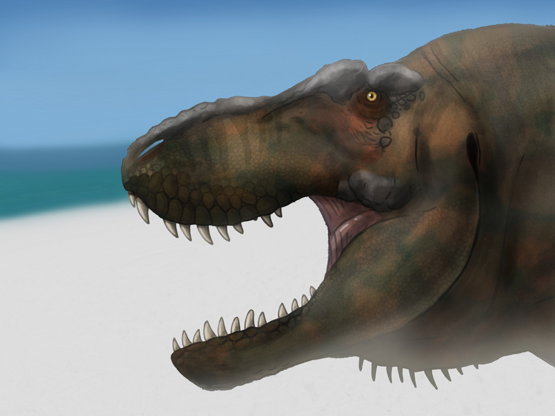 File:Tyrannosaurus mcraeensis JF.png