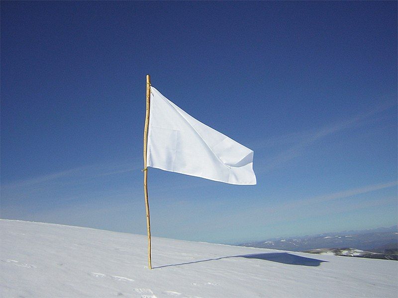 File:White Flag.jpg