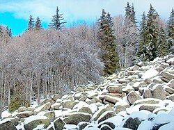 The run in the winter