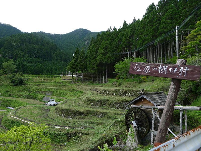 File:樫原の棚田.JPG