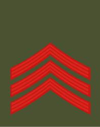 File:03-Montenegro Army-JSG.svg