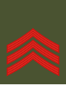 Mlađi vodnik (Montenegrin Ground Army)