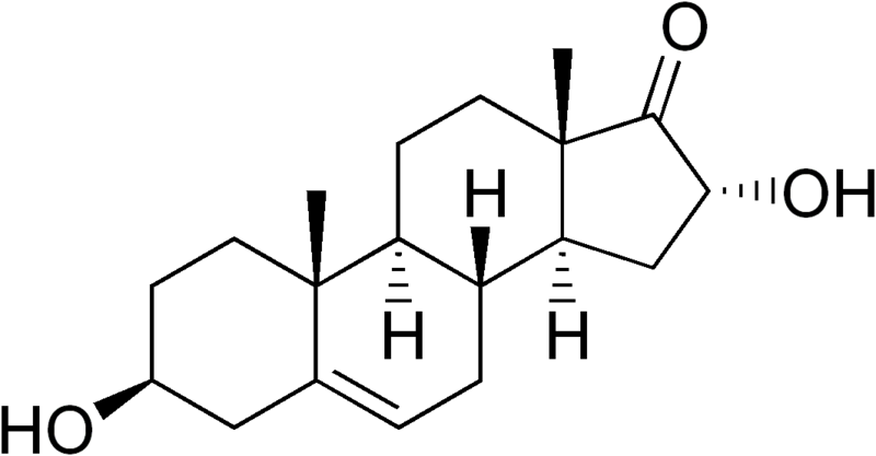 File:16-hydroxydehydroepiandrosterone.png