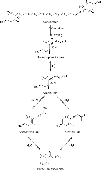 File:Beta-Damascenone Synthesis.svg