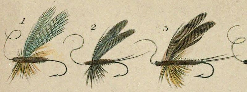 File:BowlkersArtofAnglingFrontpiece Mayflies.JPG