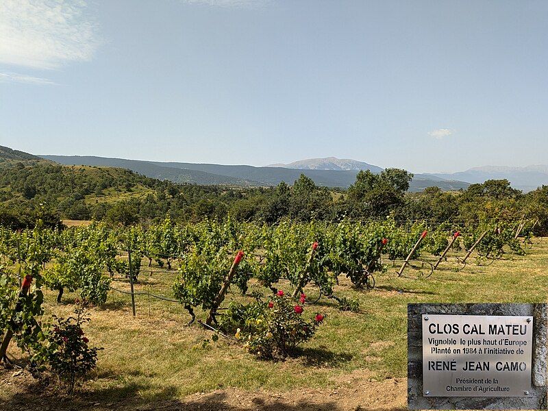 File:Clos-Cal-Mateu.jpg