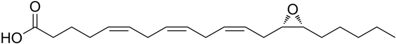 File:Epoxyeicosatrienoic acid.png