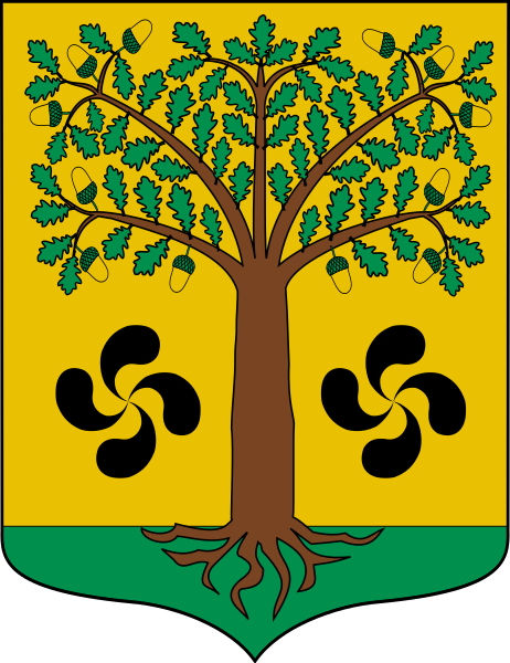 File:Escudo de Ajangiz.svg