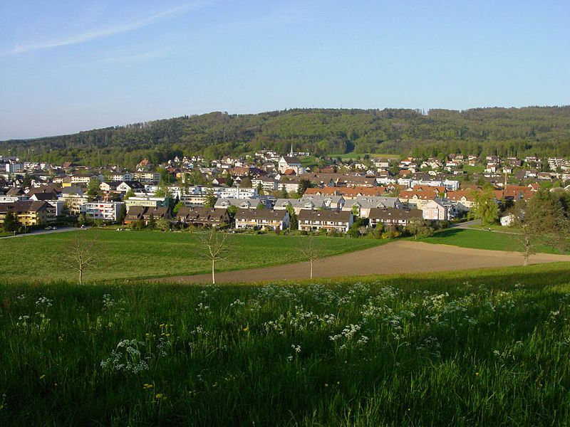 File:Fislisbach Boll.jpg