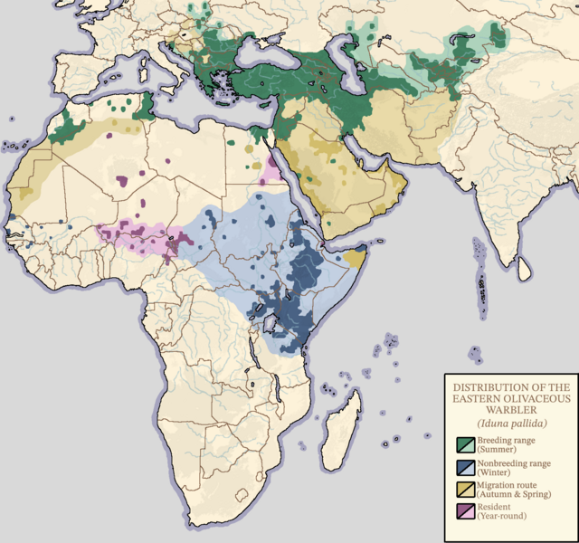 File:Ipallida range map.png