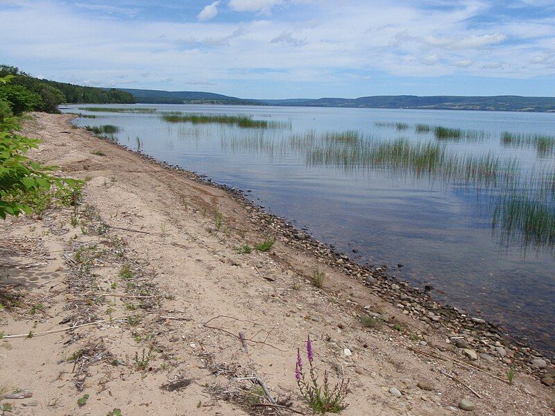 File:Lake Ainslie1.jpg