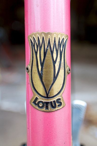 File:Lotus Head Badge.jpg