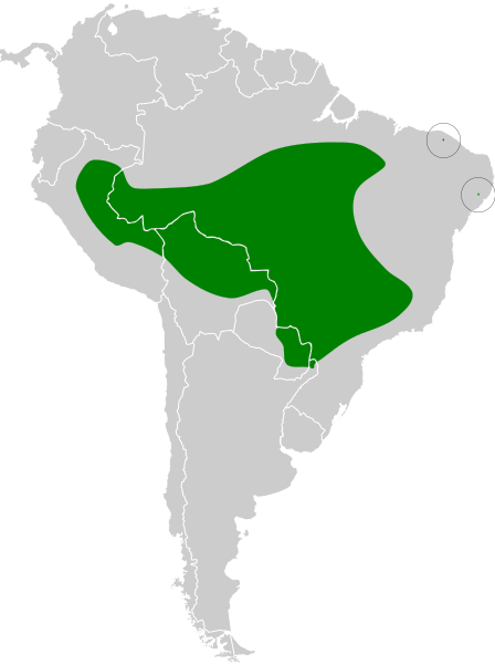 File:Pipra fasciicauda map.svg