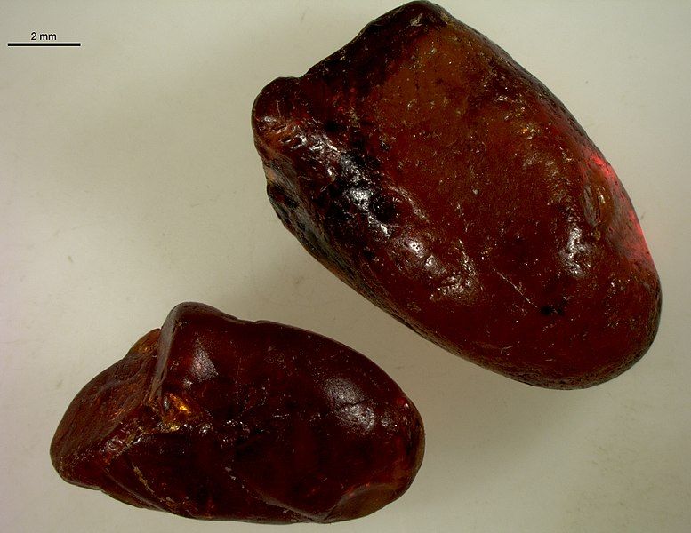 File:Sakhalin amber.jpg