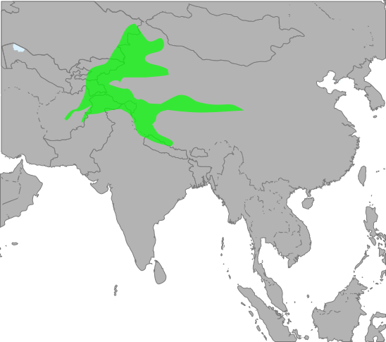 File:TetraogallusHimalayensisMap.svg