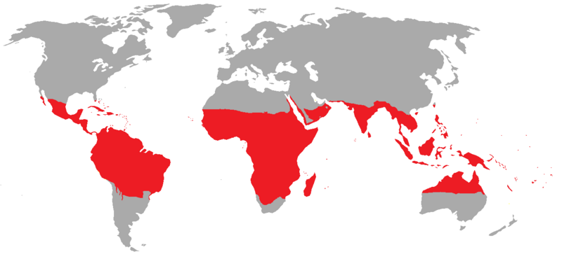 File:Tropical zones.png