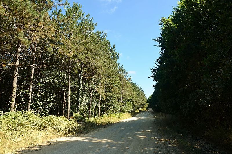 File:ÇilingozNaturePark (14).jpg