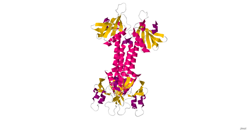 File:2VSZ.pdb1.png