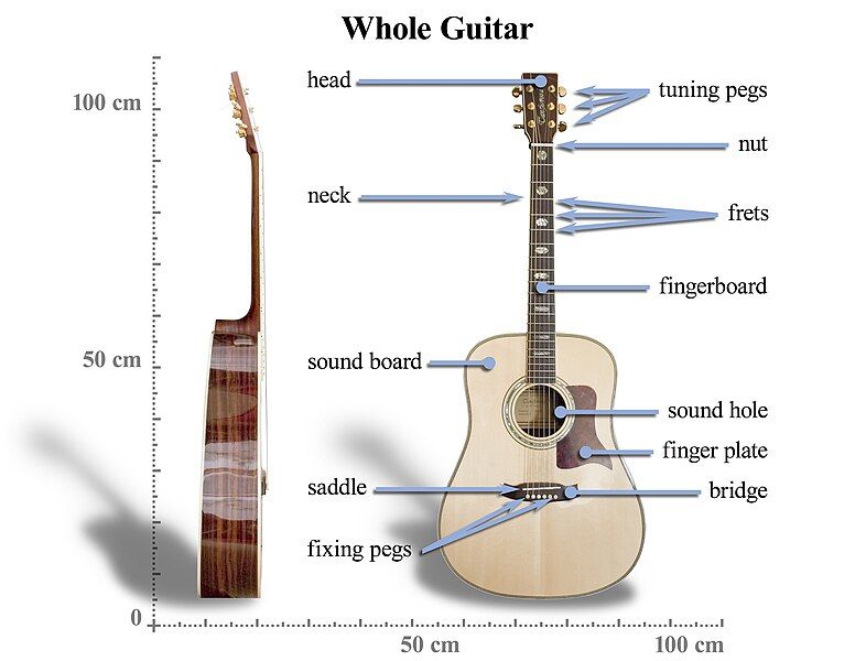 File:Acoustic Guitar Anatomy.jpg