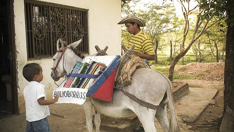 File:Biblioburro.jpg