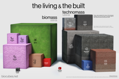 Global inventory of biomass and technomass