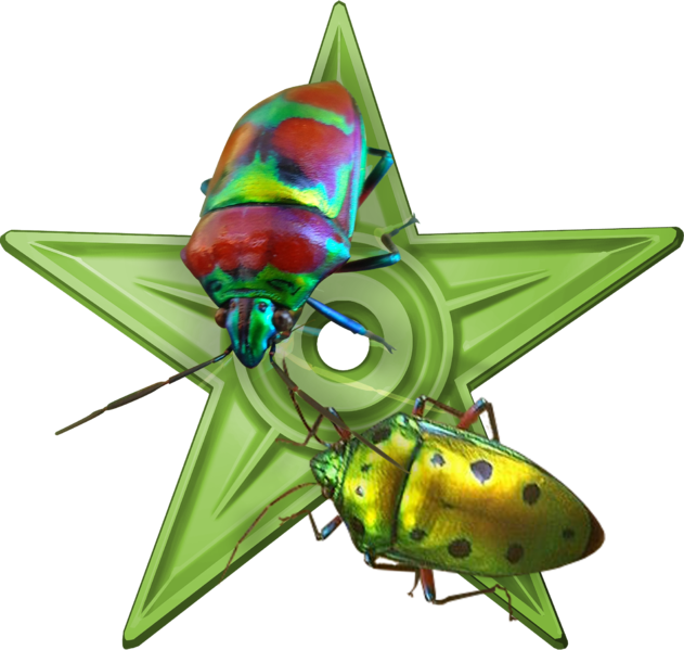 File:Entomology Barnstar 2.png