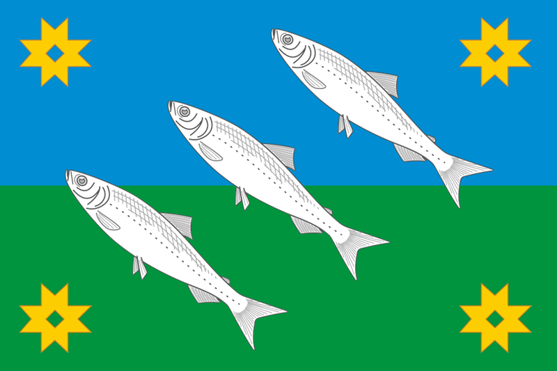 File:Flag of Muyezersky.png