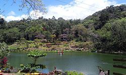 Mambukal Lake