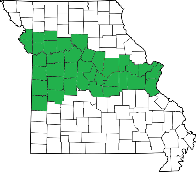 File:Missouri Rhineland Map.png