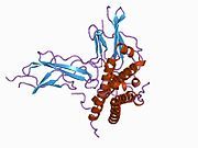 1a22: HUMAN GROWTH HORMONE BOUND TO SINGLE RECEPTOR