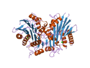 2a8j: Crystal Structure of human Taspase1 (acivated form)