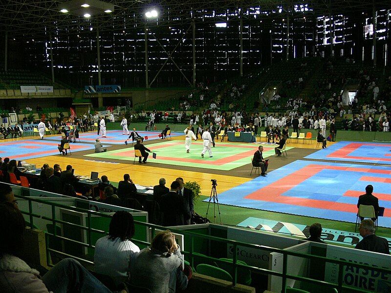 File:PalaisSportsBeaulieuNantesKarate.jpg