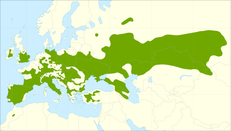 File:Populus nigra range.svg